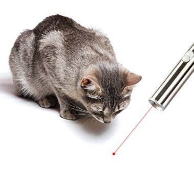 7 Best Laser Pointers for Cats (Review & Buying Guide) in 2018