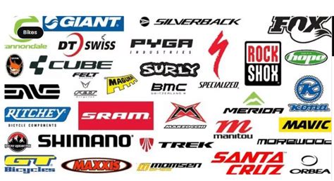 8 Best Bike Brands Around the Globe - Foster's Sports Center