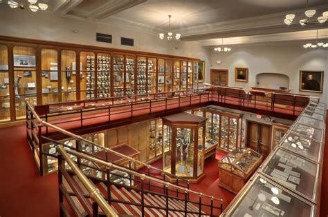 Skulls and Specimens: The Mütter Museum is Weird and Worth It – The Incubator