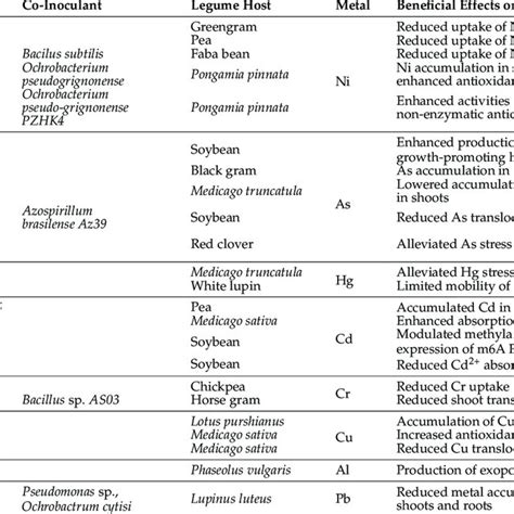 Illustration depicting rhizobia-related activities that confer legumes... | Download Scientific ...