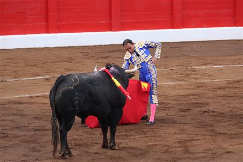 AFICIÓN POR LOS TOROS: VER y ENTENDER UNA CORRIDA DE TOROS