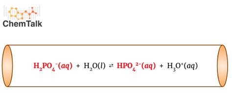 Biological Buffers | ChemTalk