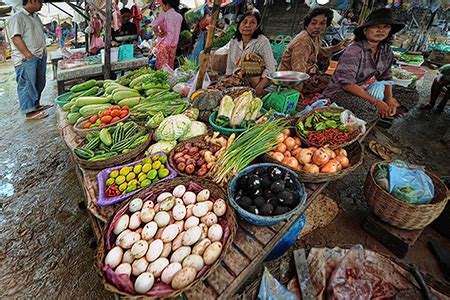 Cambodia Lifestyle | The Daily Lifestyle of Cambodian People