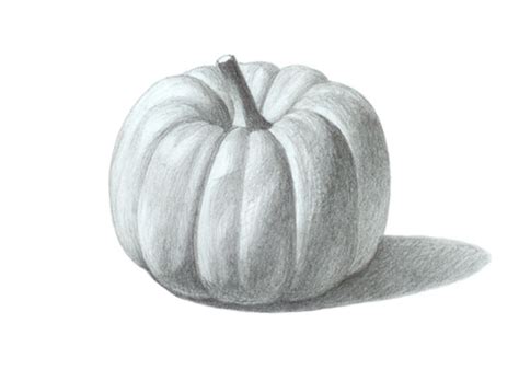 How to Draw a Realistic Pumpkin Step by Step Tutorial - EasyDrawingTips