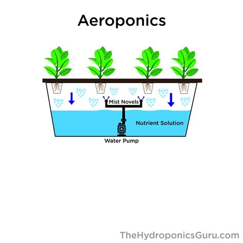 How the Aeroponics Hydroponics System Works - The Hydroponics Guru