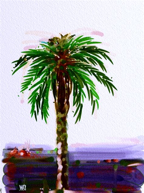 drawing (on) the world: palm tree in california