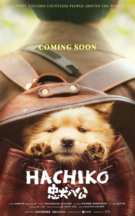 Hachiko (2023) Movie Tickets & Showtimes Near You | Fandango