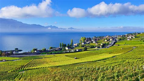 Montreux Hotels from ₹ 8,872/night | Compare Best Hotels in Montreux ...