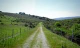 Sheep Camp Trail | County of San Mateo, CA