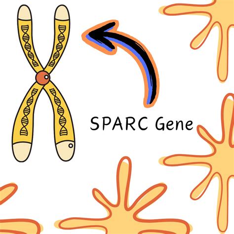 What’s the SPARC Gene? – The Halpern Law Firm