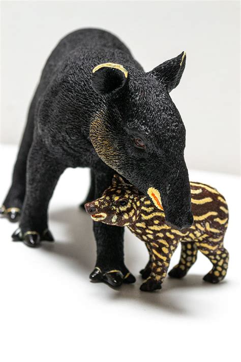 Tapir Products - Mountain Tapir Project