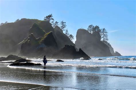 How Many Sunny Days In Ocean Shores, Washington? Uncovering The Sunshine Stats