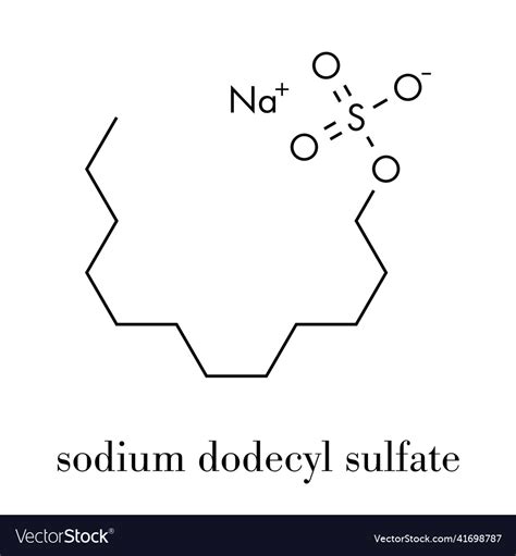 Sodium dodecyl sulfate sds lauryl sulfate Vector Image