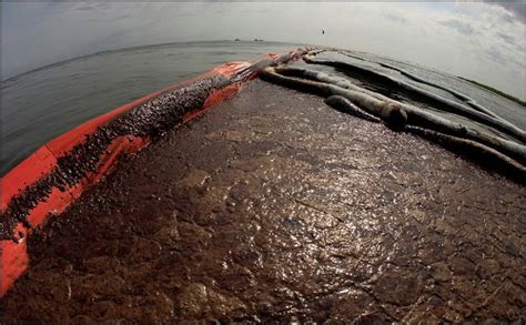 10 Facts about BP Oil Spill - Fact File