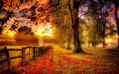 Park autumn scenery, red leaves, road, fence wallpaper | nature and landscape | Wallpaper Better