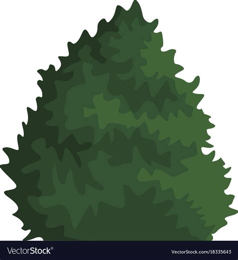 Bush plant isolated Royalty Free Vector Image - VectorStock