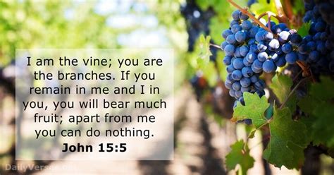 John 15:5 - Bible verse of the day - DailyVerses.net