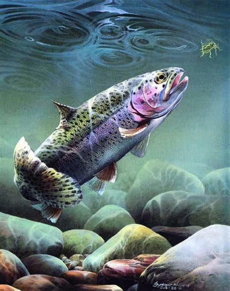 Wildlife Artwork, Wildlife Paintings, Animal Paintings, Fish Paintings ...