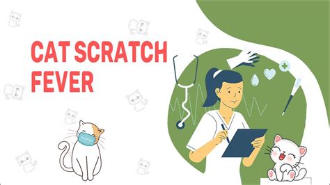 Cat Scratch Fever - Causes, Symptoms, And Treatment - Petmoo