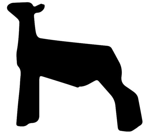 Free Show Lamb Clip Art | Sheep Graphics | Clublamb Images