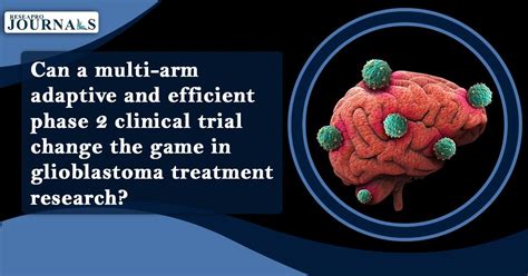 Advancing Glioblastoma Research: Optimizing treatment strategies for ...