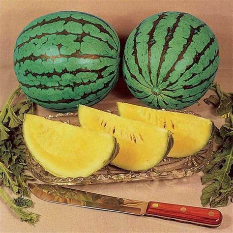 Sjeme Yellow Baby Watermelon Seeds- 170 Seed Price in India - Buy Sjeme Yellow Baby Watermelon ...