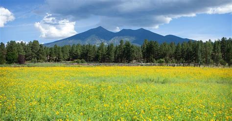 $410+ Flights to Flagstaff, Arizona | Cheapflights