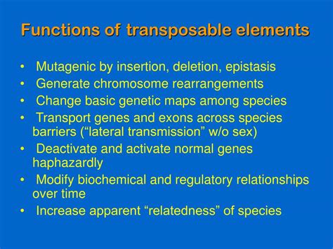 PPT - Mutations of Many Kinds from Transposons PowerPoint Presentation ...