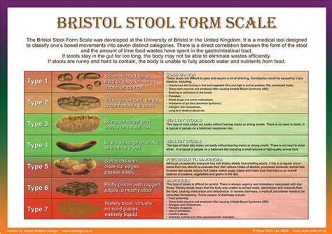 Bristol Stool Scale | Stool Diary - London Gastroenterology Centre