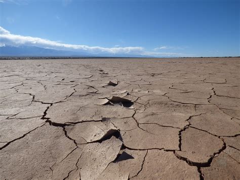 Desert Biomes — Semiarid, Coastal, Cold & Hot and Dry - Expii