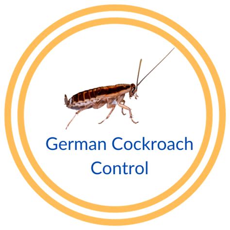 German Cockroach Control - No Bugs