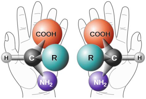 Enantiomers vs. Diastereomers | ChemTalk