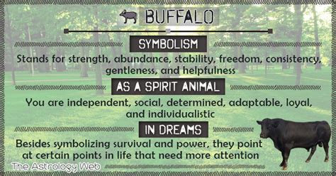 Buffalo Meaning and Symbolism | The Astrology Web