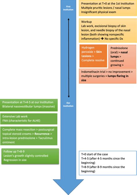 Treatment of angiolymphoid hyperplasia with eosinophilia | Download Scientific Diagram