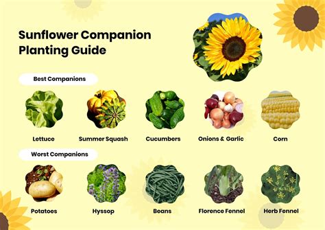 Companion Planting Chart For Flowers | informacionpublica.svet.gob.gt