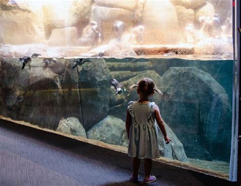 Greensboro Science Center (and 10 Great Things to Do)