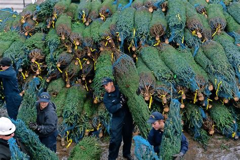 Peek Onboard the Coast Guard’s Christmas Tree Ship – Chicago Magazine