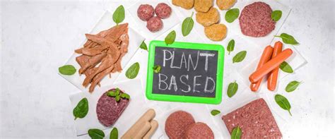 Is Plant-Based Meat Healthy - Everything You Need To Know – Vegan Essentials