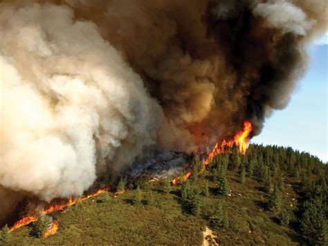 Forest fire | Definition, Description, Ecology, & Facts | Britannica