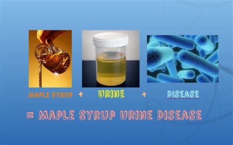 Maple Syrup Urine Disease by Angelica Gonzalez on Prezi