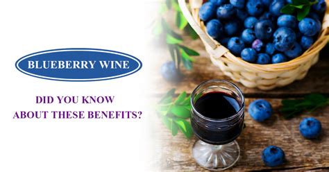 Blueberry Wine: A Complete Guide - Nutrition Advance