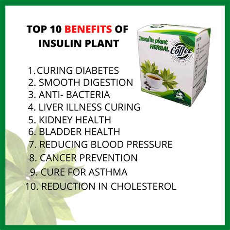 Insulin Plant Coffee Mix - Anti Diabetes - Home | Facebook