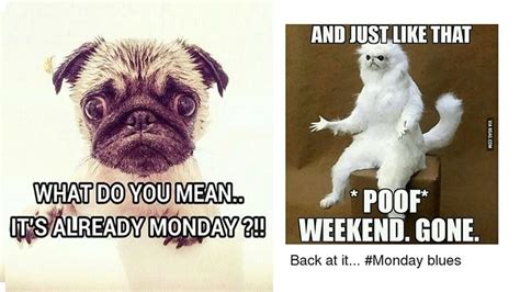 These painfully funny Monday memes are so accurate that it hurts a little!