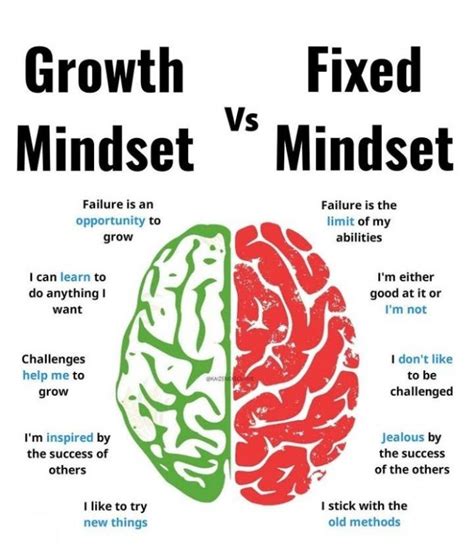 Growth Mindset vs. Fixed Mindset - 9buz