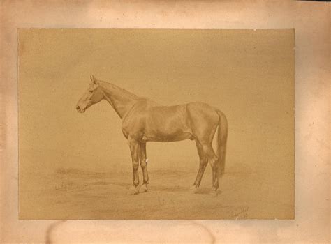 Rantings of a Civil War Historian » Forgotten cavalryman: Dick the war horse