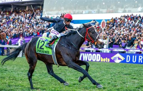 Hollywoodbets Durban July 2023 - Everything You Need To Know ...