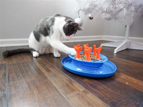 Go Fish Bowl - Cat Puzzle Feeder by Jackson Galaxy | Cat puzzle feeder, Cat puzzle, Fish bowl