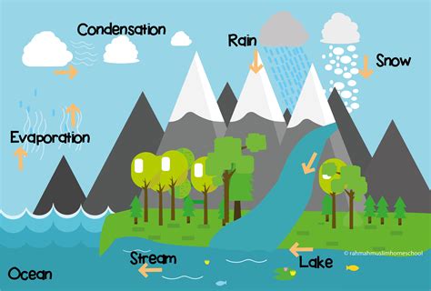 Science for Kids: The Water Cycle | The Islamic Home Education Resources