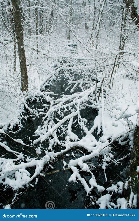 A Snowy Winter Scene in New England Stock Image - Image of park, blue ...