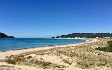 8 of the Best Beaches in Tauranga // New Zealand // World Beach Guide